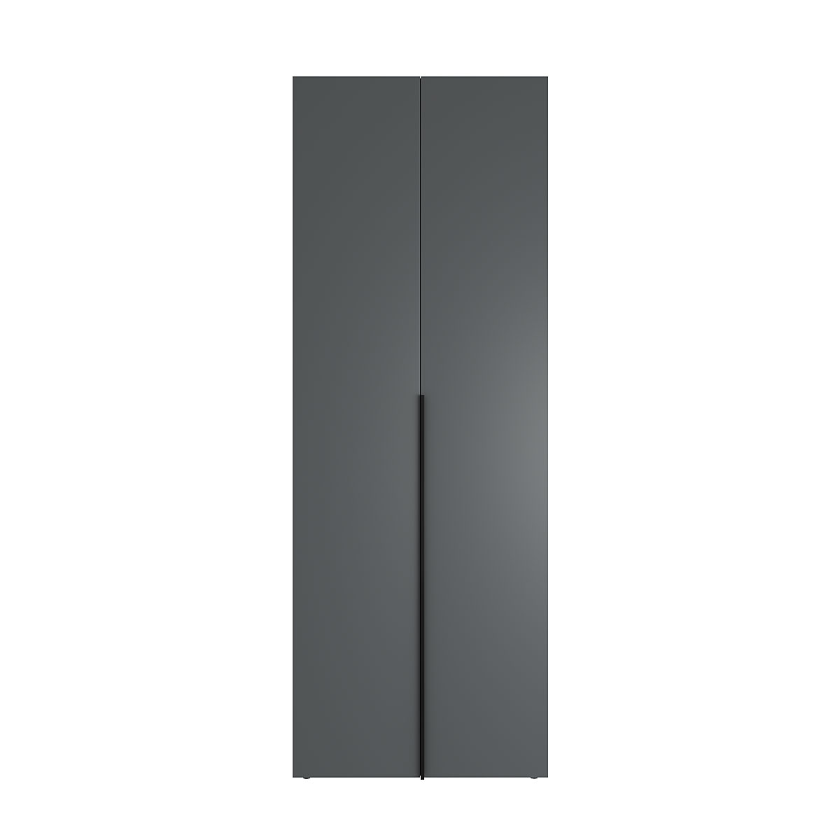 Hinged combined wardrobe №12 Light 120x220x50 cm – Graphite