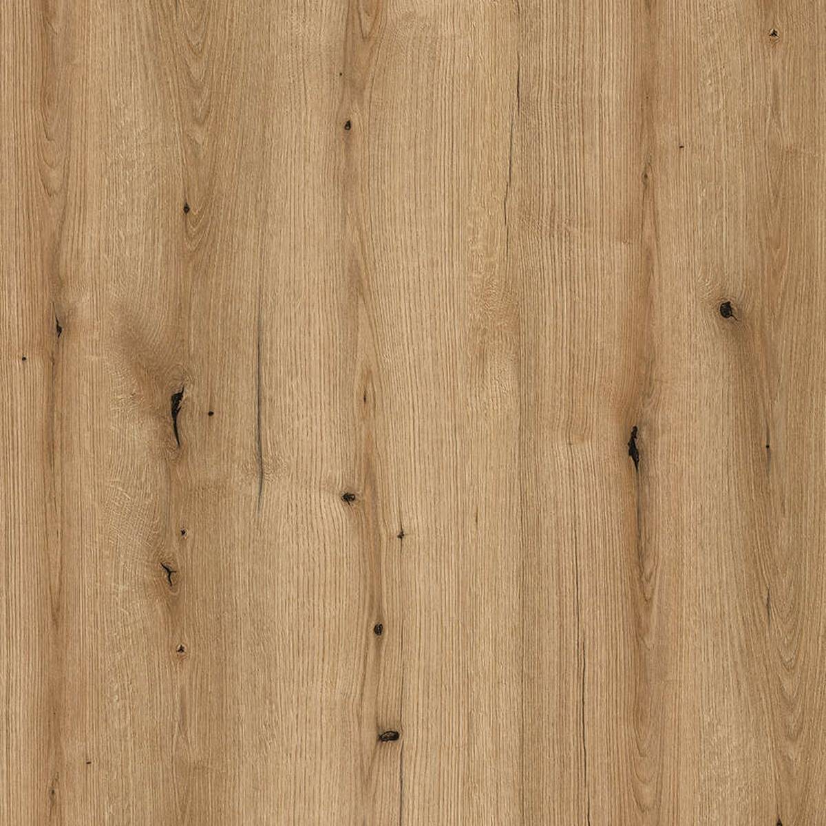 Color of furniture Coast Evoke Oak