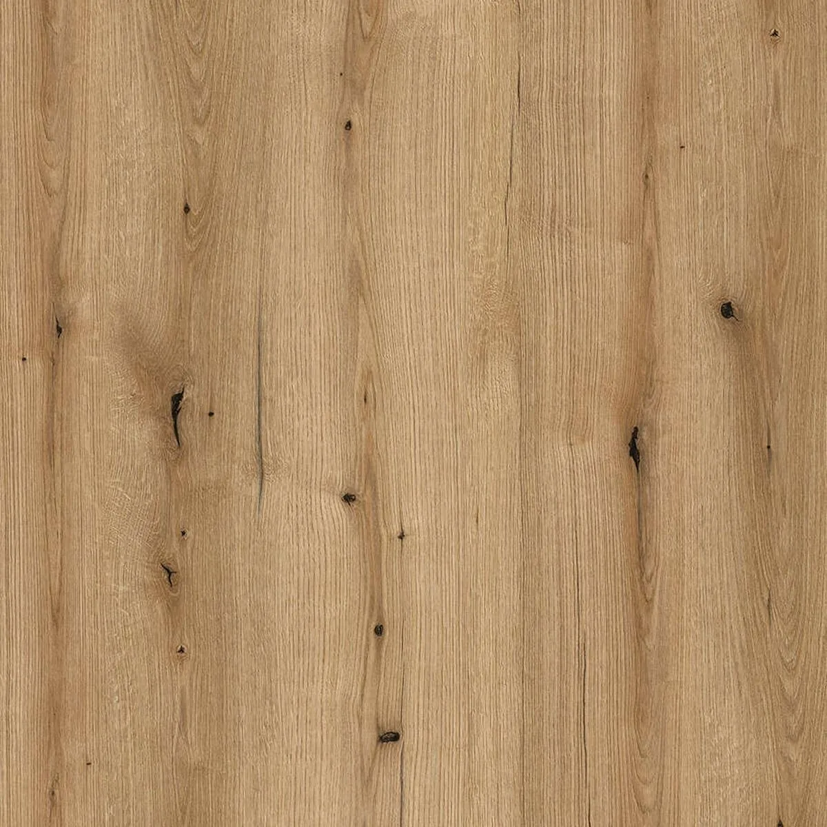 Color: Coast Evoke Oak Color of furniture Coast Evoke Oak