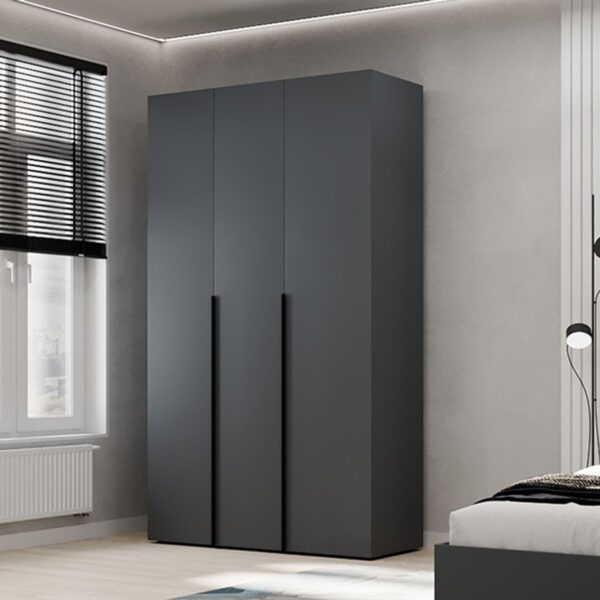 Шкаф распашной комбинированный №12 Light 120x220x50 см – Графит