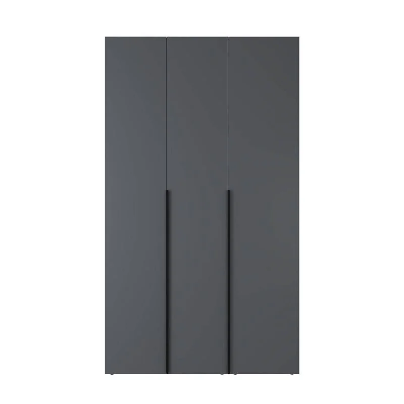 Шкаф трехдверный распашной Light №12 120x220x50 см – Графит