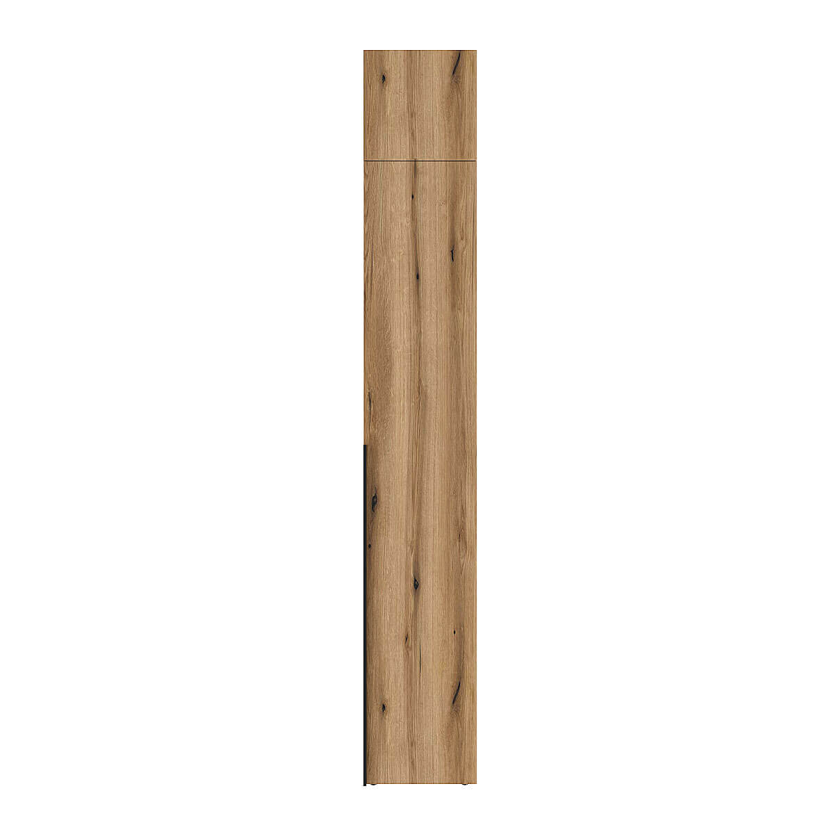 Розпашна шафа з антресоллю на 3 двері Light №12 120х250x50 см – Дуб Евок